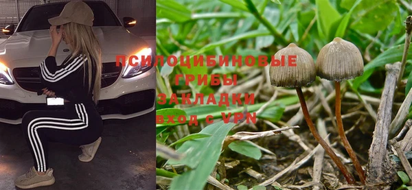 синтетический гашиш Алексин
