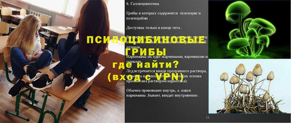 синтетический гашиш Алексеевка